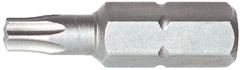 Binnenster-Bit, IS40, L=25 mm, Häfele